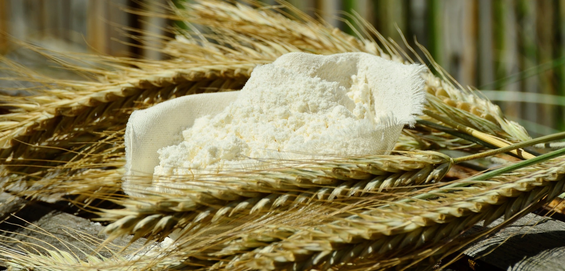 Maida, Wheat Flour Product Supply